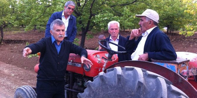 Chp’li Sarıoğlu Sorunları Dinledi