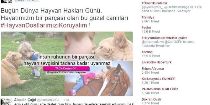 Twitter Fenomeni Hayvanlara Sahip Çıktı