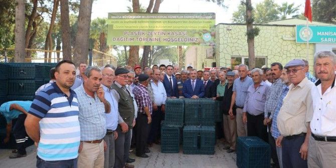 Zeytinde Ürün Kaybı En Aza İnecek