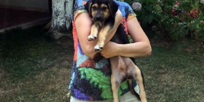 Maganda Kurşununa Hedef Olan Mankenin Vurulma Anı Güvenlik Kamerasında