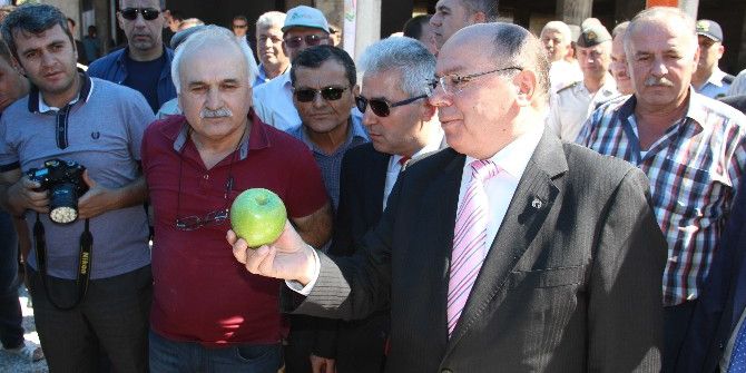 Bağ Bozumu Şenliği Yapıldı