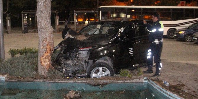 Elazığ’da Otomobil Ağaca Çarptı: 1 Yaralı