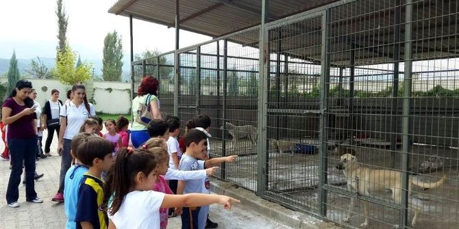 Minik Öğrenciler Sevimli Dostları Unutmadı