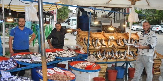 Palamut Pazarların Gözdesi