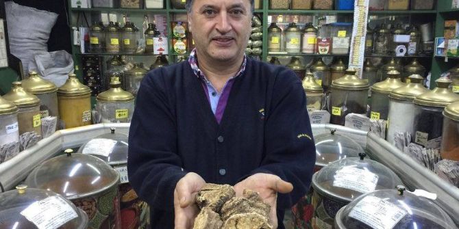 Viagra’ya Bitkisel Rakip ‘Çakşır Kökü’