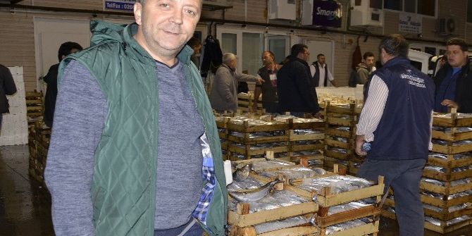 Bandırma’da Palamut Bolluğu