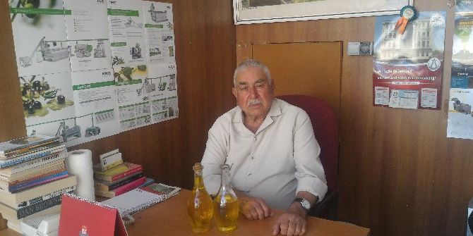Avrupa’da Rekolte Düşüşü Türk Zeytin Üreticilerine Yaradı