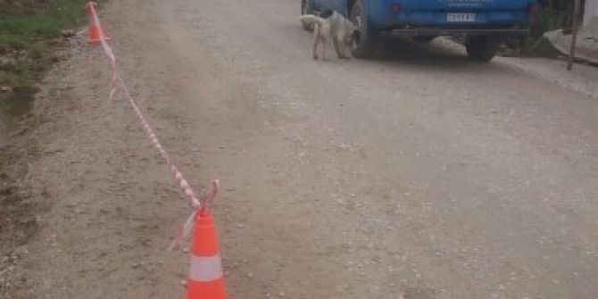 Sakarya’da 600 Kilo Fındık Çalındı