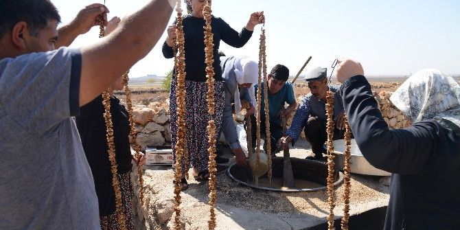 Yaşlılar Ve Gençler Bağbozumunda Buluştu