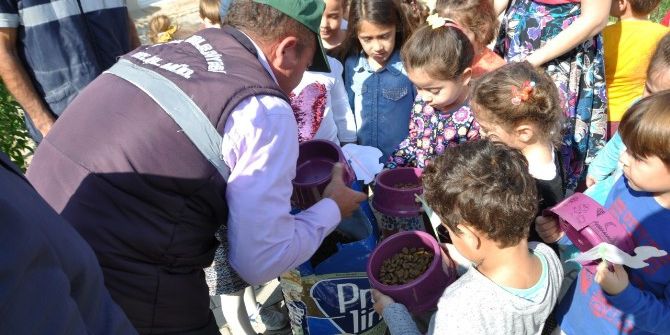 Minikler Can Dostlara Mama Verdi