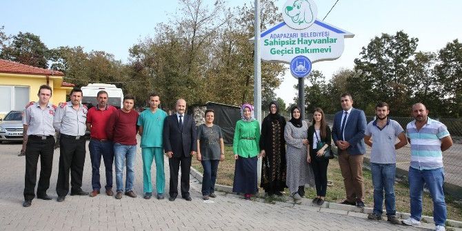 Orman Su İşleri, Barınağa Kedi Evi Hediye Etti