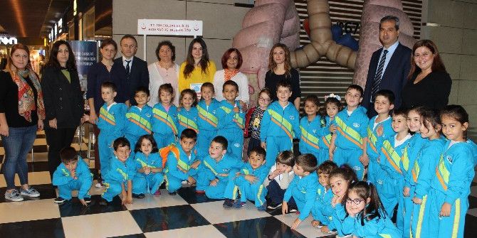 Öğrenci Ve Vatandaşlara Maket Ciğerle Eğitim