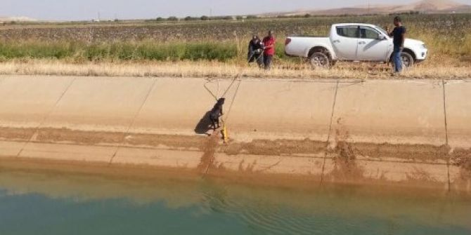 Kanala Düşen Köpek İtfaiye Ekiplerince Kurtarıldı