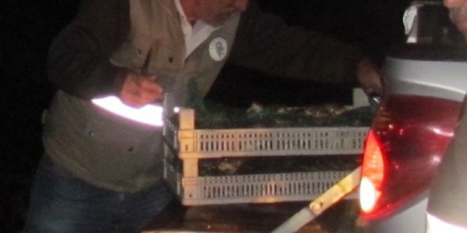 300 Kilogram Kaçak Kurbağaya, 204 Bin Lira Ceza Kesildi