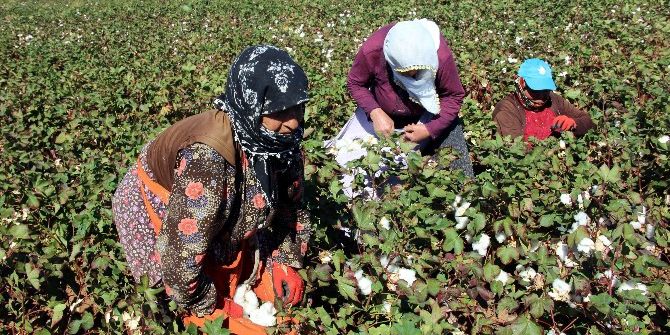 Pembe Hayallere ’Beyaz’ Umut