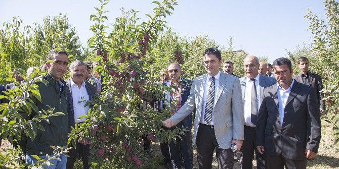Meyvecilik Yeni Gelir Kapısı Oluyor