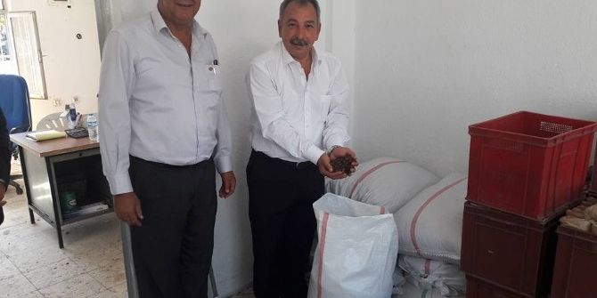 Üzümde Düşük Fiyat Açıklamasına Chp’den Tepki