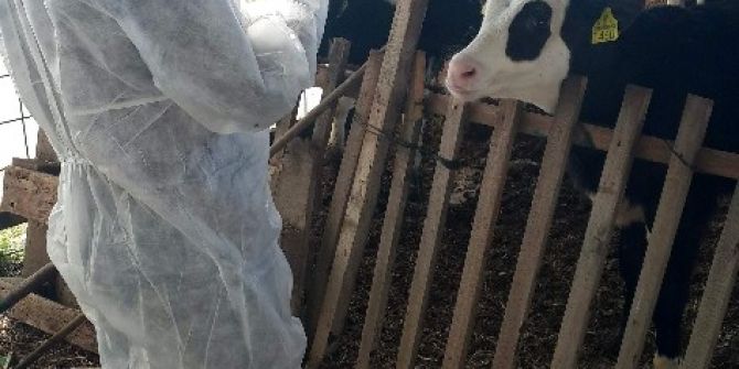 Tarsim’in Hasar Yönetiminde Tablet Teknolojisi