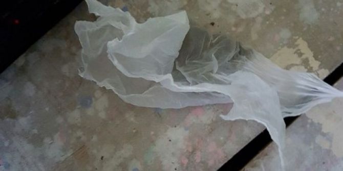 Anne Ve Biri Üvey İki Oğluna Uyuşturucu Baskını