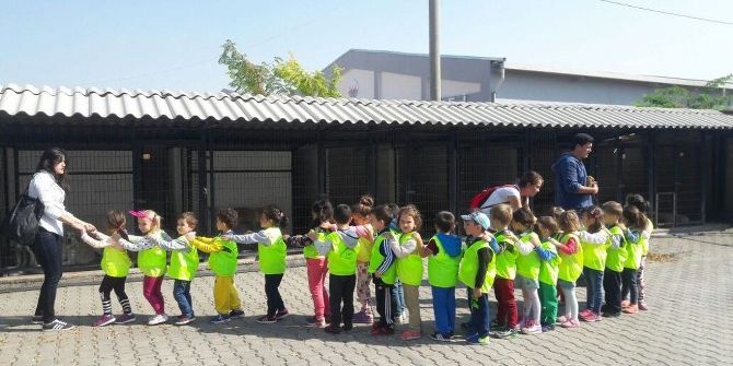 Hayvan Barınağına Ziyaretçi Akını