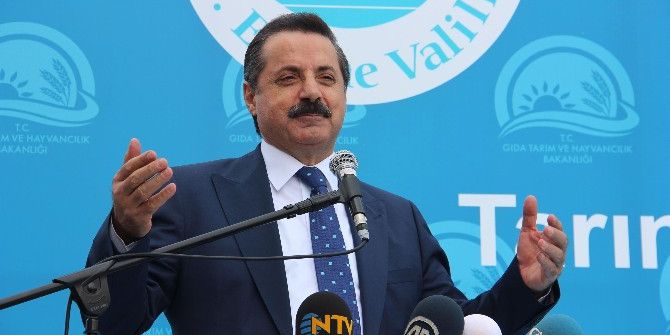Bakan Çelik, Çeltik Taban Fiyatını Açıkladı