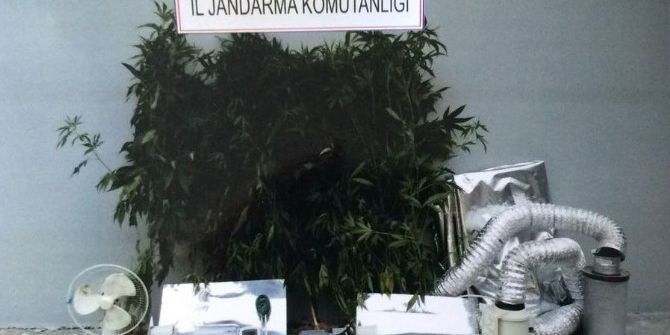 Trabzon’da Özel Düzeneklerle Uyuşturucu Yetiştirilen Eve Baskın Düzenlendi