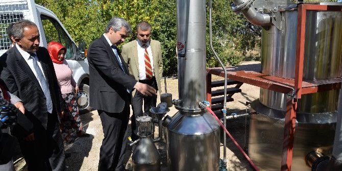 Kayseri’de Bir İlke Daha İmza Atıldı: Lavanta Yağı Üretimi İçin Distilasyon Ünitesi Kuruldu