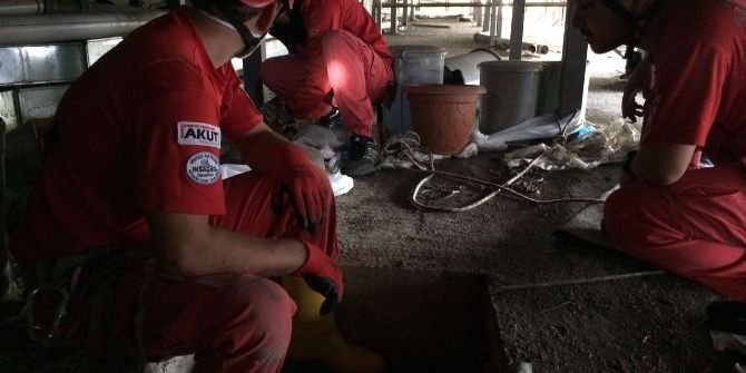 Akut Ekipleri, Yavru Kedi İçin Seferber Oldu