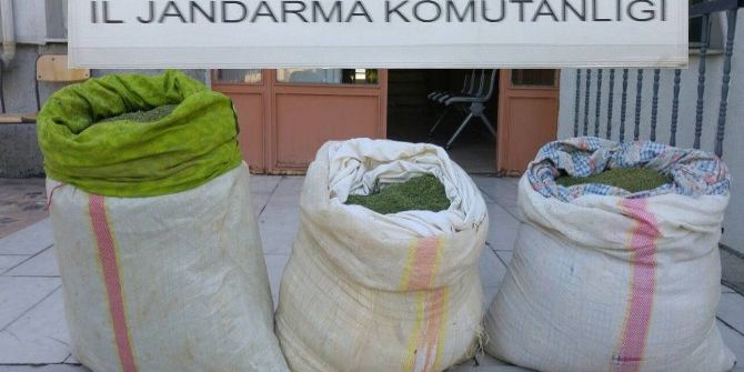 Bingöl’de 52 Kilogram Esrar Ele Geçirildi