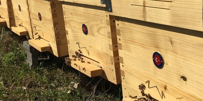 Tika’dan Sırbistan’da Arıcılığa Destek