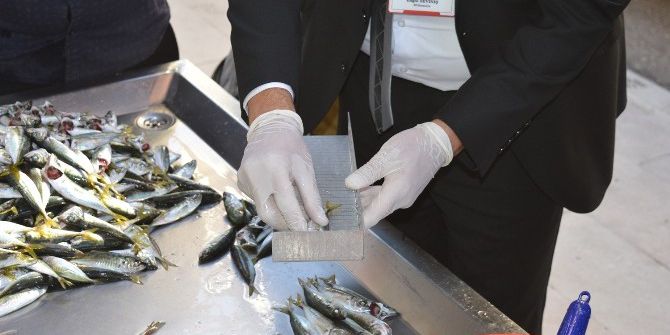 Ordu’da Balık Satış Yerleri Denetleniyor