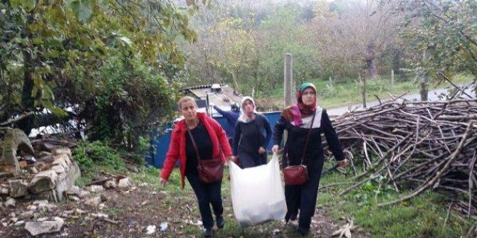 Ak Parti Akçakoca Kadın Kolları Yaşlıları Ziyaret Etti