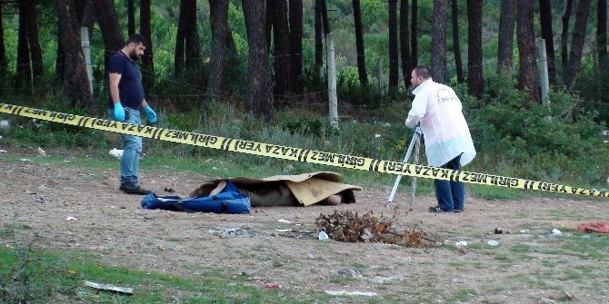 Ormanlık Alandaki Kavga Kanlı Bitti: 1 Ölü