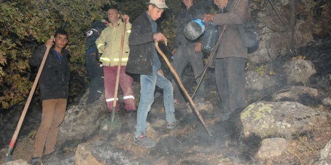 Aksaray’da Orman Yangını