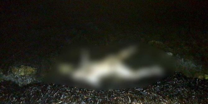 Milas’ta Sahile Vurmuş Ceset Bulundu