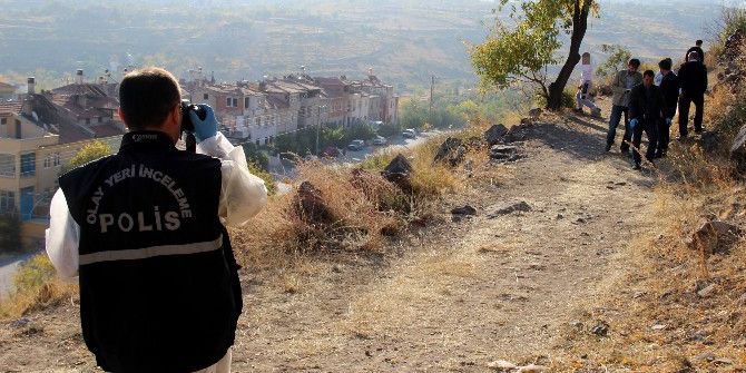 Ağaca Asılı Erkek Cesedi Bulundu