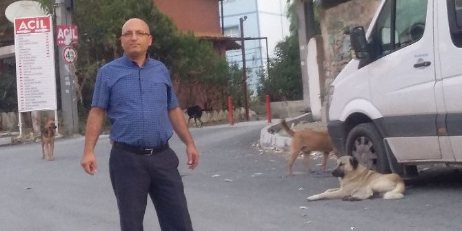 Okul Önünde Başıboş Köpek Tehlikesi