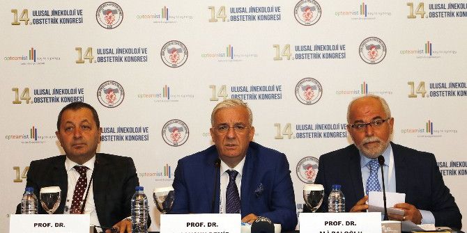 Prof. Dr. Cansun Demir: