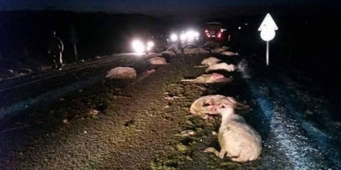 Kamyonet’in Çarptığı 44 Koyun Telef Oldu