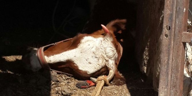 Siverek’te Karantina Uygulaması