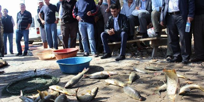 Zıplamayana Para Yok