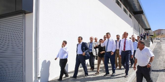 Meclis Üyeleri Yapılan Çalışmaları Tek Tek Yerinde İnceledi