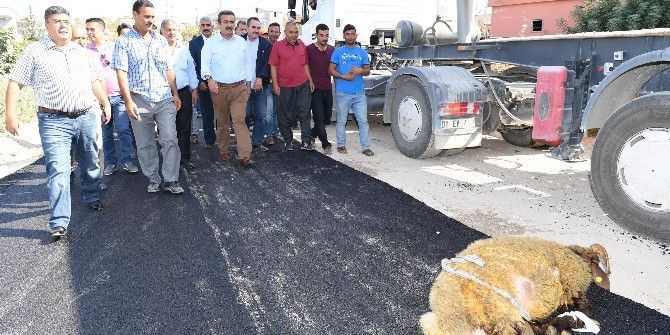 İlk Kez Asfalt Yolla Tanıştılar