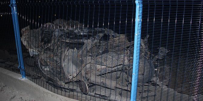 Kardeşlerin Otomobil Macerası Feci Bitti