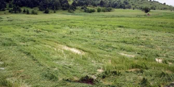 Tarımın Sigortasından Üreticiye 850 Milyon Tl Ödeme