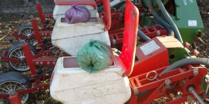 Çalıştığı Bağ Evinde Esrar Üretirken Yakalandı