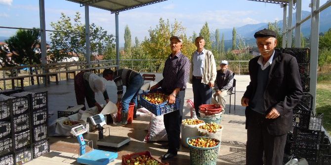 Hünnap Pazardaki Yerini Aldı
