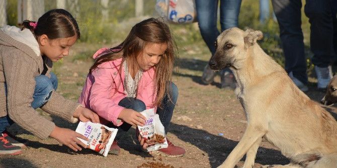 Bu Sefer Hayvanlar İçin Kontak Açtılar