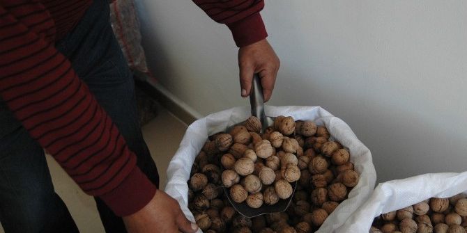 Adilcevaz’da Yeni Mahsul Ceviz Satışları Başladı