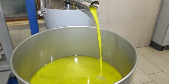 Burhaniye’de Zeytinyağında Yüksek Kalite Sevinci